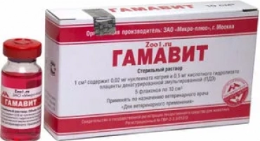 Как да дадем на котките гаматит